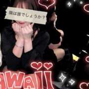 ヒメ日記 2026/03/11 05:30 投稿 こよみ コートダジュール