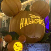 ヒメ日記 2025/09/18 12:40 投稿 ここな 神田ハンドメイド