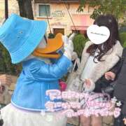 ヒメ日記 2025/11/26 14:31 投稿 ここな 神田ハンドメイド