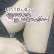 ヒメ日記 2026/02/01 11:10 投稿 ここな 神田ハンドメイド