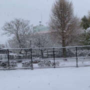 ヒメ日記 2026/02/08 11:31 投稿 ここな 神田ハンドメイド