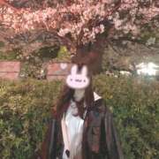 ヒメ日記 2026/04/04 12:17 投稿 ここな 神田ハンドメイド