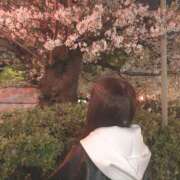 ヒメ日記 2026/04/06 18:34 投稿 ここな 神田ハンドメイド