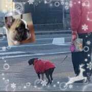 ヒメ日記 2025/01/14 13:54 投稿 山内みづえ 五十路マダム静岡店（カサブランカG）