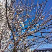 ヒメ日記 2025/02/19 12:36 投稿 山内みづえ 五十路マダム静岡店（カサブランカG）