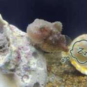 ヒメ日記 2025/04/01 20:10 投稿 山内みづえ 五十路マダム静岡店（カサブランカG）