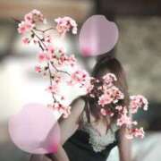 ヒメ日記 2025/04/10 08:52 投稿 山内みづえ 五十路マダム静岡店（カサブランカG）