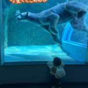 ヒメ日記 2025/04/17 08:26 投稿 山内みづえ 五十路マダム静岡店（カサブランカG）