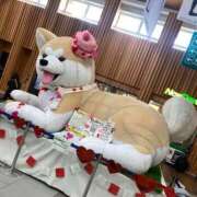 ヒメ日記 2025/02/18 19:55 投稿 あんな 萌えコス