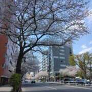 ヒメ日記 2025/04/05 13:47 投稿 いろは 鶯谷デリヘル倶楽部