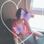 ヒメ日記 2025/11/15 19:22 投稿 いろは 鶯谷デリヘル倶楽部