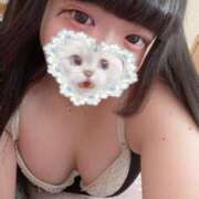 ヒメ日記 2025/04/11 12:27 投稿 うゆ 名古屋ちゃんこ