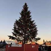 ヒメ日記 2025/12/16 21:33 投稿 かすみ 美妻隊