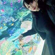 ヒメ日記 2025/01/22 09:15 投稿 ゆみ(単体AV女優) プレイボーイ　アゲハ