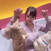 ヒメ日記 2025/01/27 01:03 投稿 ゆみ(単体AV女優) プレイボーイ　アゲハ