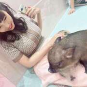 ヒメ日記 2025/02/02 13:21 投稿 ゆみ(単体AV女優) プレイボーイ　アゲハ