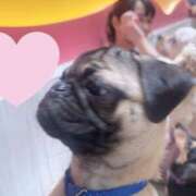 ヒメ日記 2025/02/08 19:09 投稿 ゆみ(単体AV女優) プレイボーイ　アゲハ