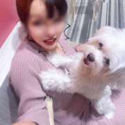 ヒメ日記 2025/02/20 14:37 投稿 ゆみ(単体AV女優) プレイボーイ　アゲハ