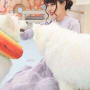 ヒメ日記 2025/02/27 19:26 投稿 ゆみ(単体AV女優) プレイボーイ　アゲハ