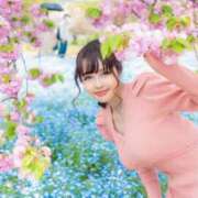 ヒメ日記 2025/04/24 15:51 投稿 ゆみ(単体AV女優) プレイボーイ　アゲハ