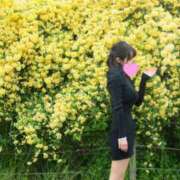 ヒメ日記 2025/04/27 12:31 投稿 ゆみ(単体AV女優) プレイボーイ　アゲハ