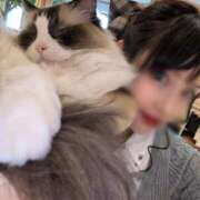 ヒメ日記 2026/02/04 19:32 投稿 ゆみ(単体AV女優) プレイボーイ　アゲハ