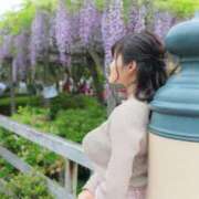 ヒメ日記 2026/02/21 12:58 投稿 ゆみ(単体AV女優) プレイボーイ　アゲハ