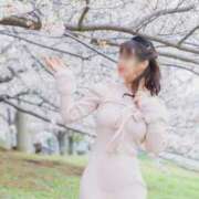 ヒメ日記 2026/04/18 08:51 投稿 ゆみ(単体AV女優) プレイボーイ　アゲハ