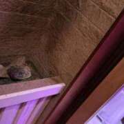 ヒメ日記 2025/02/18 17:56 投稿 CHANEL GRAND STAGE