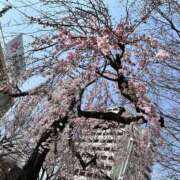 ヒメ日記 2025/03/25 13:06 投稿 CHANEL GRAND STAGE