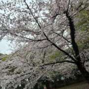 ヒメ日記 2026/03/31 17:07 投稿 CHANEL GRAND STAGE