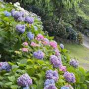 ヒメ日記 2026/06/03 14:30 投稿 CHANEL GRAND STAGE