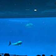 ヒメ日記 2026/09/12 15:44 投稿 CHANEL GRAND STAGE