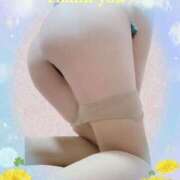 ヒメ日記 2025/02/20 21:00 投稿 日向 華恋人(カレント)