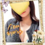 ヒメ日記 2026/01/20 21:00 投稿 日向 華恋人(カレント)