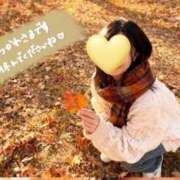 ヒメ日記 2026/02/11 19:30 投稿 日向 華恋人(カレント)