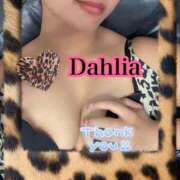 ヒメ日記 2025/06/12 13:54 投稿 だりあ CLUB DEEP