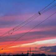 ヒメ日記 2025/06/14 18:44 投稿 だりあ CLUB DEEP