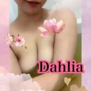 ヒメ日記 2025/07/02 18:44 投稿 だりあ CLUB DEEP