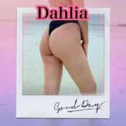 ヒメ日記 2025/08/04 11:44 投稿 だりあ CLUB DEEP