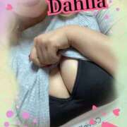 ヒメ日記 2025/09/11 11:34 投稿 だりあ CLUB DEEP