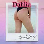 ヒメ日記 2025/10/16 11:34 投稿 だりあ CLUB DEEP