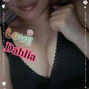 ヒメ日記 2025/11/04 11:34 投稿 だりあ CLUB DEEP