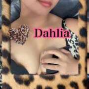 ヒメ日記 2025/12/06 13:04 投稿 だりあ CLUB DEEP