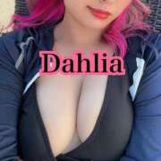 ヒメ日記 2026/01/22 11:39 投稿 だりあ CLUB DEEP