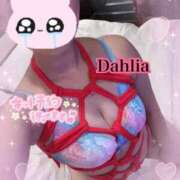 ヒメ日記 2026/01/30 16:44 投稿 だりあ CLUB DEEP