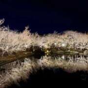 ヒメ日記 2026/02/12 12:04 投稿 だりあ CLUB DEEP