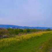 ヒメ日記 2026/04/14 11:24 投稿 だりあ CLUB DEEP