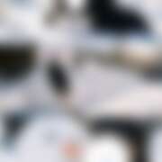 ヒメ日記 2025/11/27 16:09 投稿 にな かりんと渋谷店