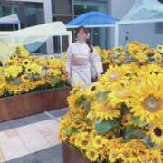 ヒメ日記 2026/08/15 12:49 投稿 MAIKA GINGIRA☆TOKYO～ギンギラ東京～